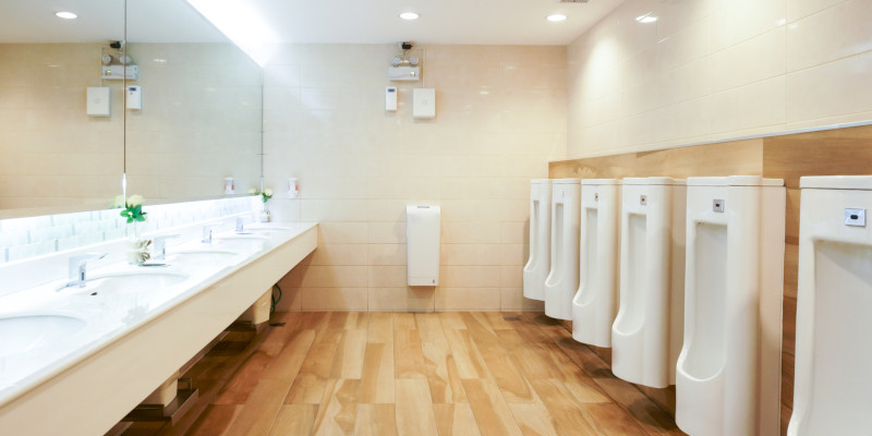 Common Problems that Require Commercial Plumbing Repair